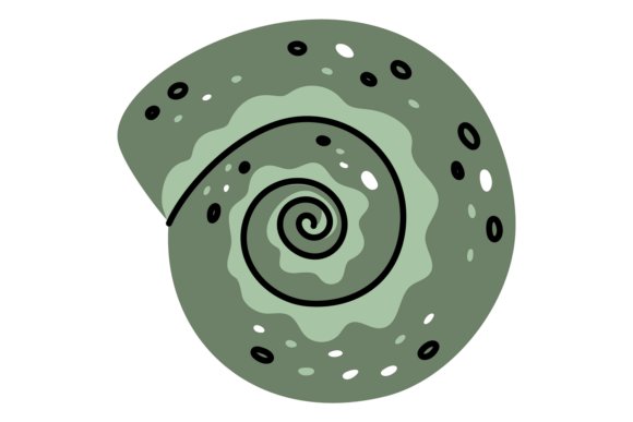 Green Tropical Spiral Seashell: A Designer's Mollusk Muse