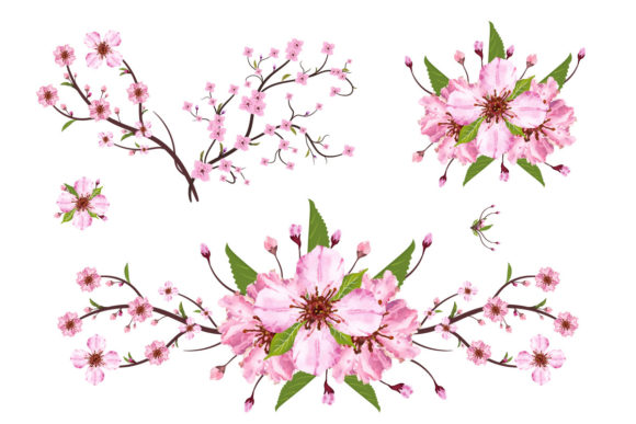 Sakura Cherry Blossom Branch Vector: A Designer's Guide