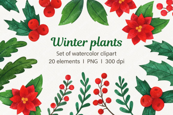 Winter Plants Watercolor Clipart: A Botanical Collection for Designers